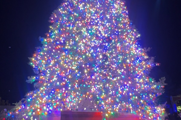 Check out the new tree!