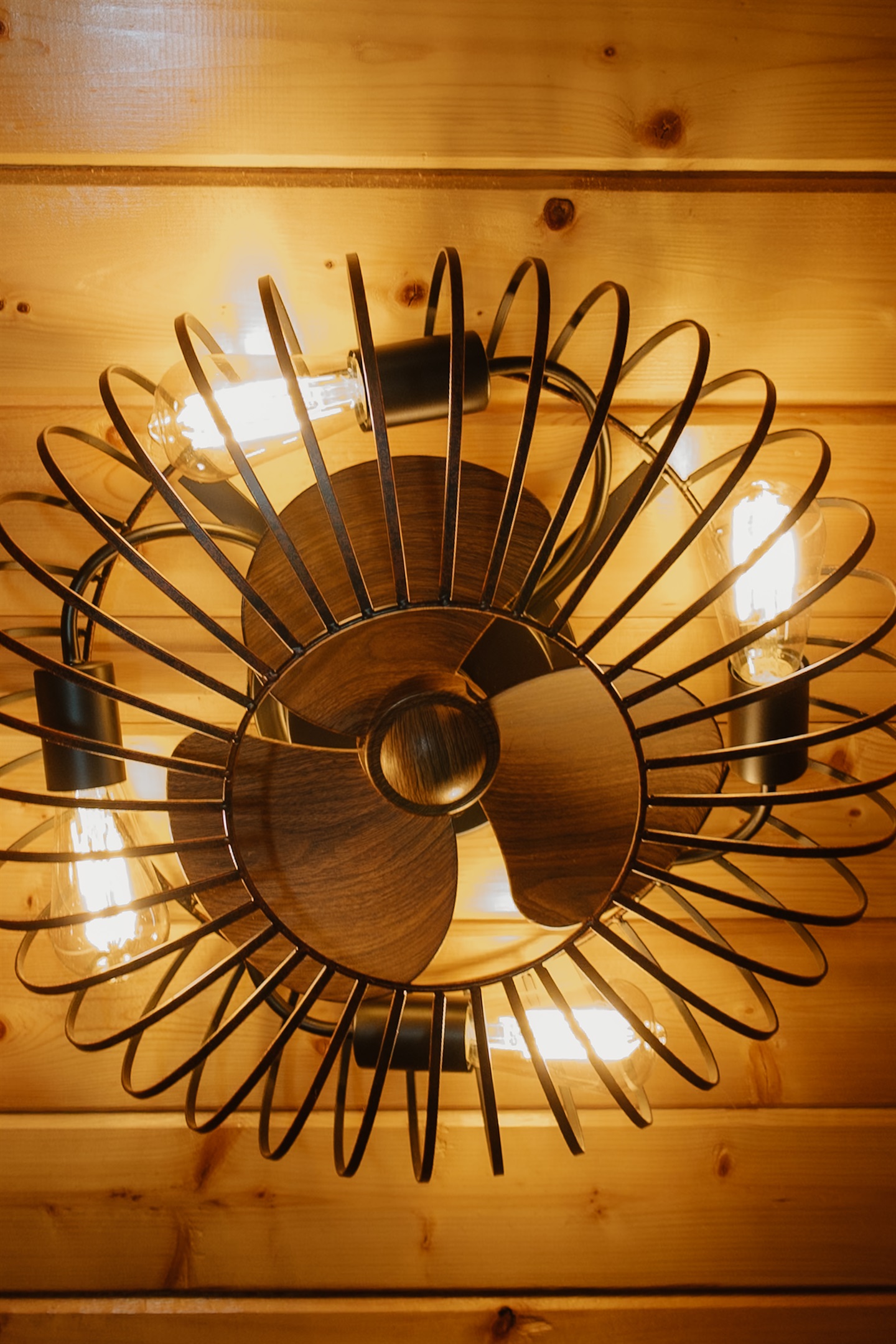 Every room features both ceiling and floor fans—customizable airflow keeps everyone comfortable.