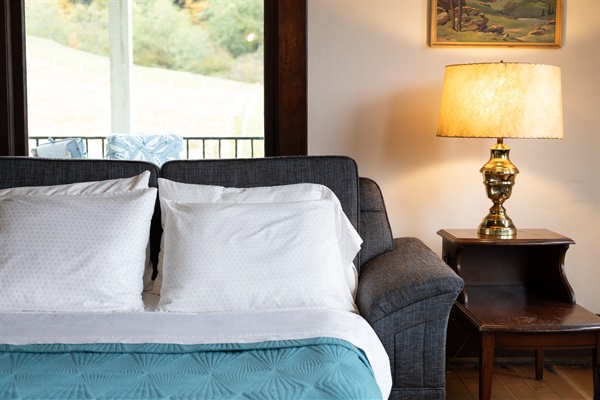 Sofa Bed in Living Room