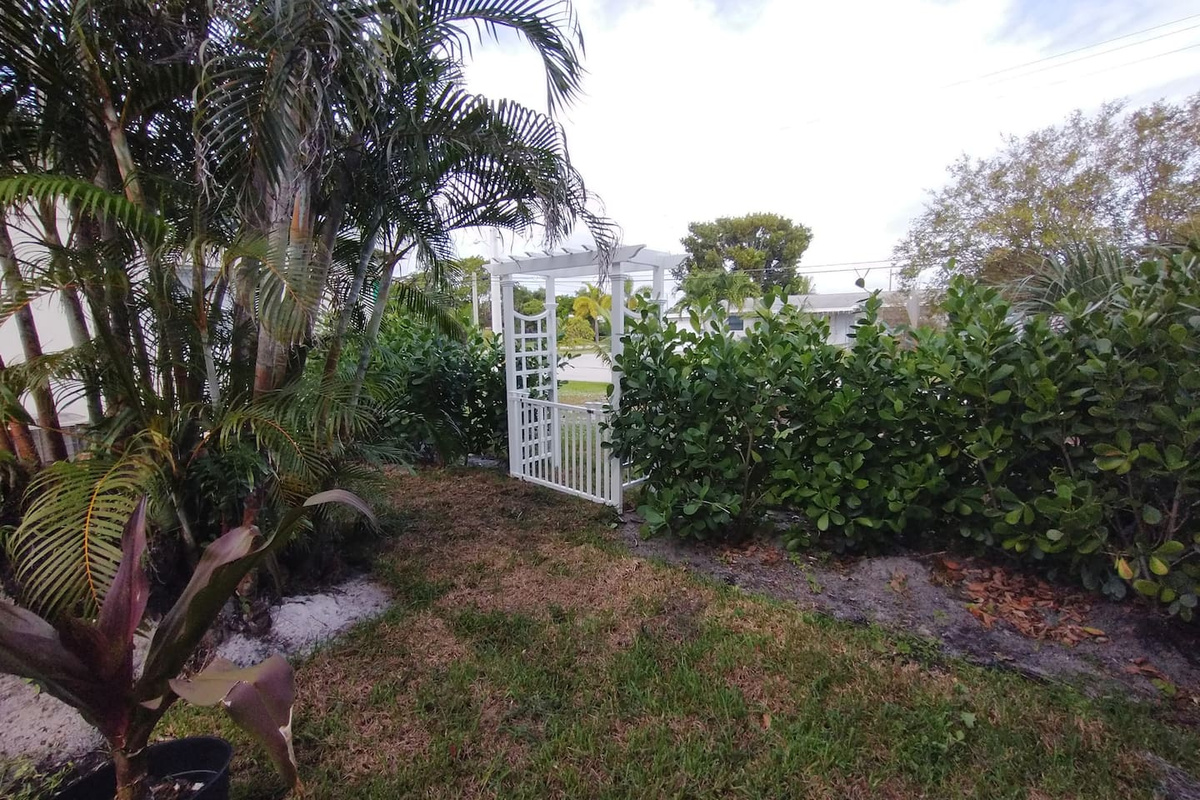 Privacy Hedges and Fence that block the view of the pool.