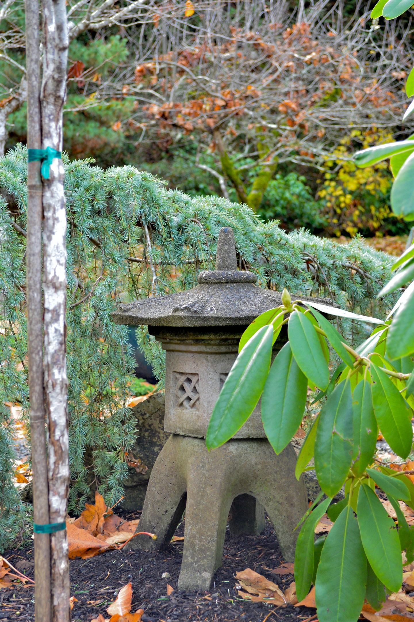 Rear of the home – nestled among the trees