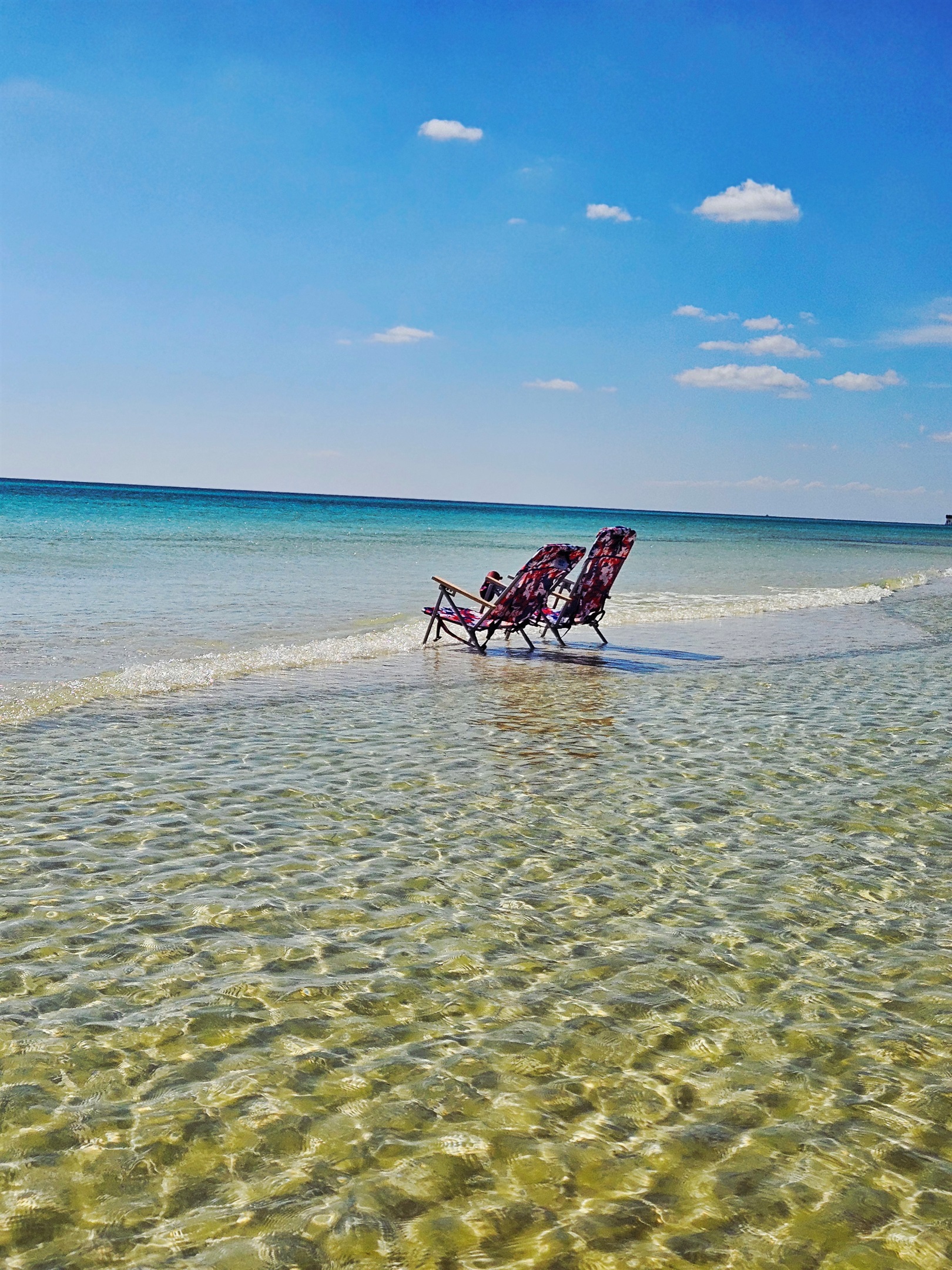 Can you imagine stilling is the shallow calm waters soaking up the sun ?