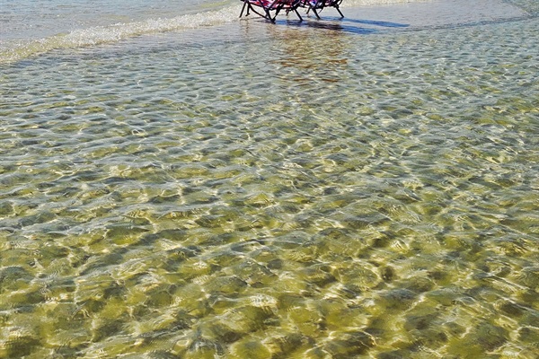 Can you imagine stilling is the shallow calm waters soaking up the sun ?