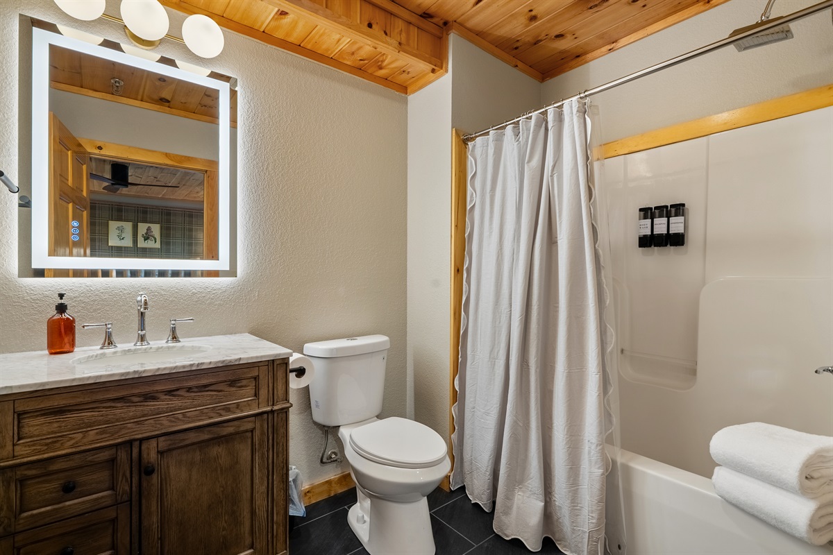 Ensuite Bathroom (Bedroom 5)