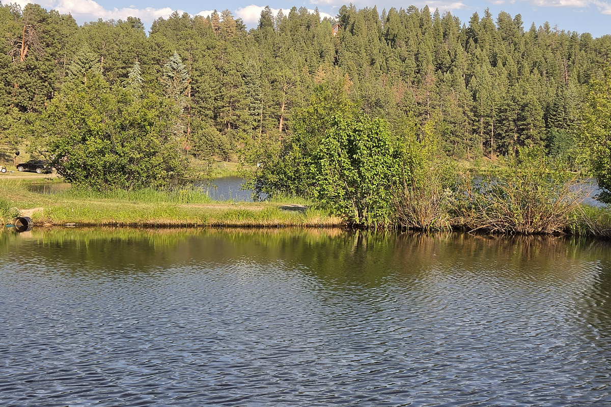 Can you spot the cabin nestled in the woods?