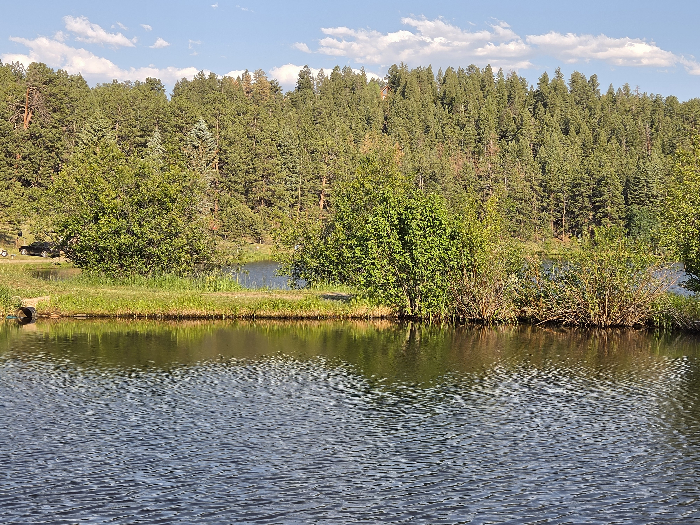 Can you spot the cabin nestled in the woods?