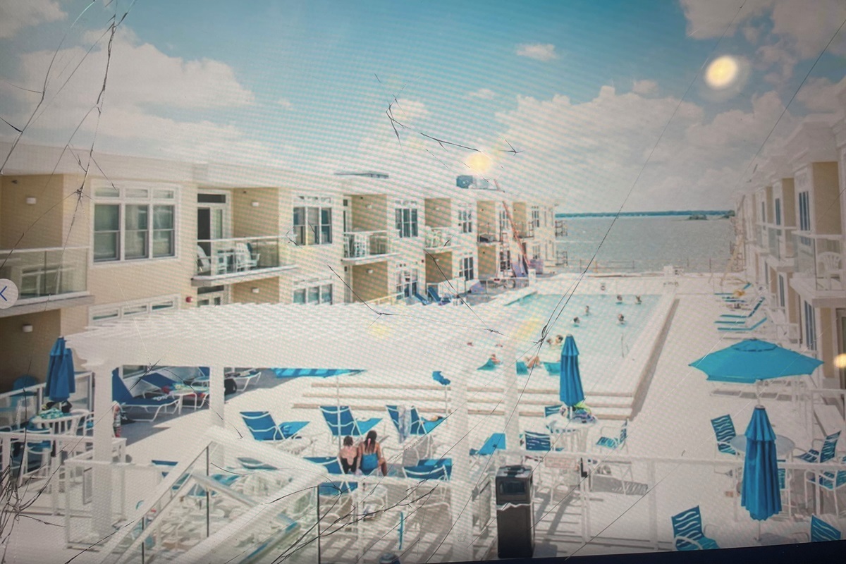 Outdoor pool overlooking bay