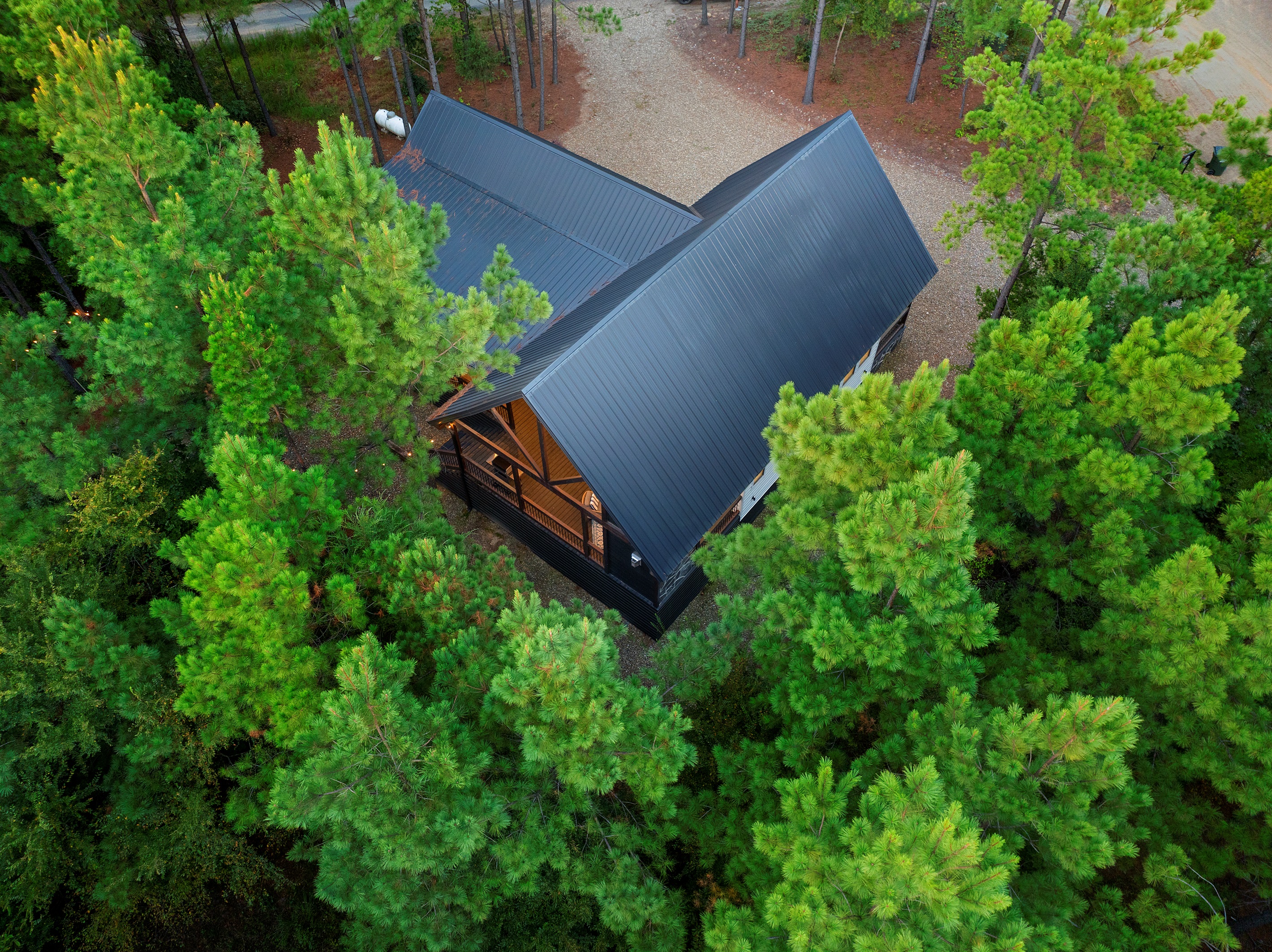 Your property sits on 1.25 acres of forest.  Lots of trees!