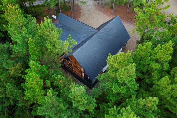 Your property sits on 1.25 acres of forest.  Lots of trees!