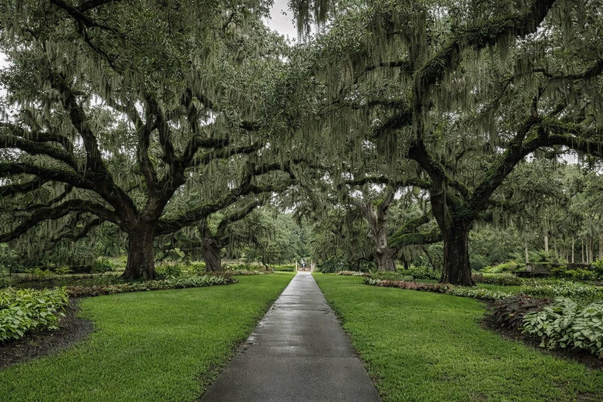 Wandering through the timeless beauty of Brookgreen Gardens! Where Southern charm, centuries-old oaks and stunning sculptures provide pure magic