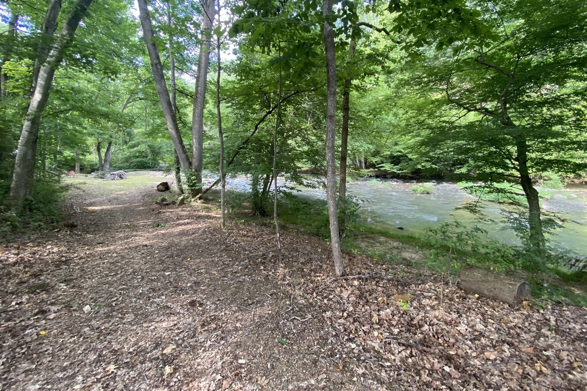 Private section of Spring Creek. Nap in hammocks, picnic, fish, tube & explore