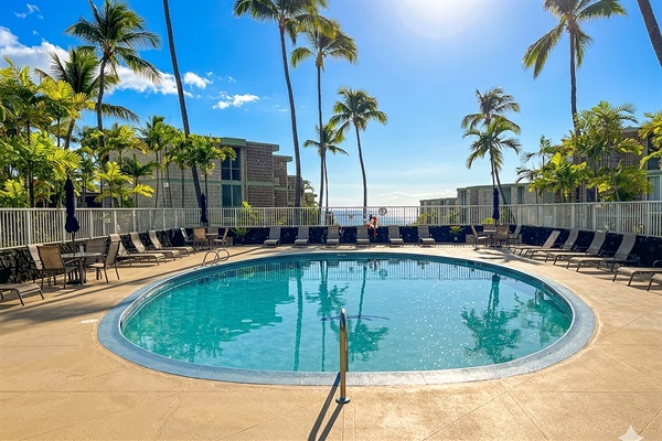 Cool off beneath swaying palms, where the pool meets the sky and the ocean is always in sight.