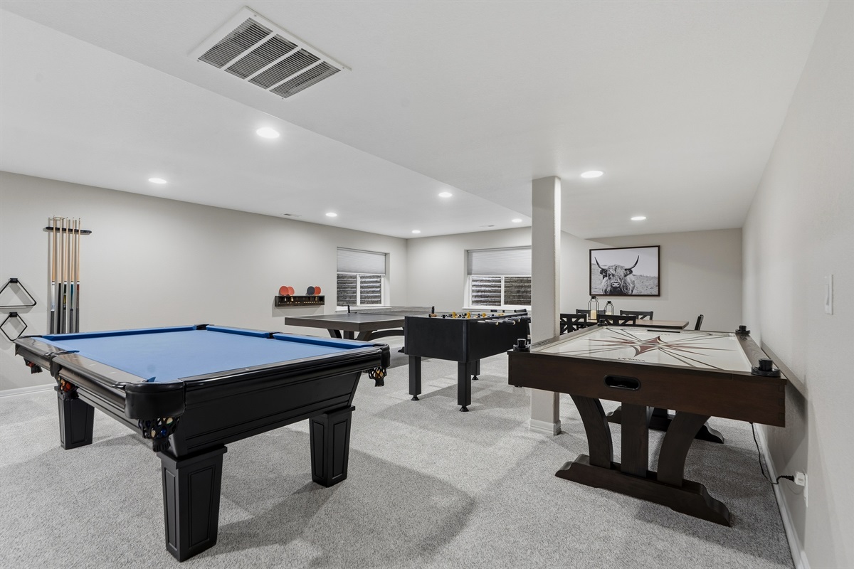 Basement Family Room