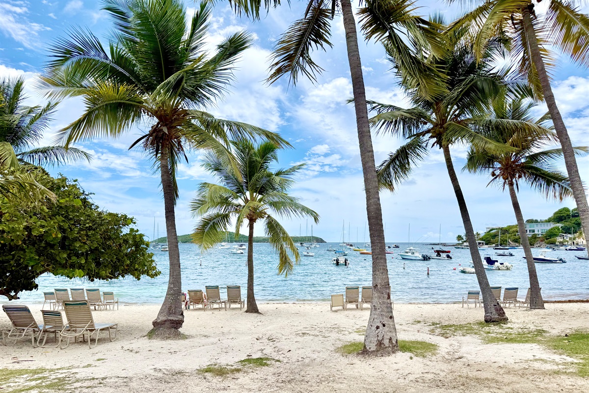 Gorgeous cowpet beach