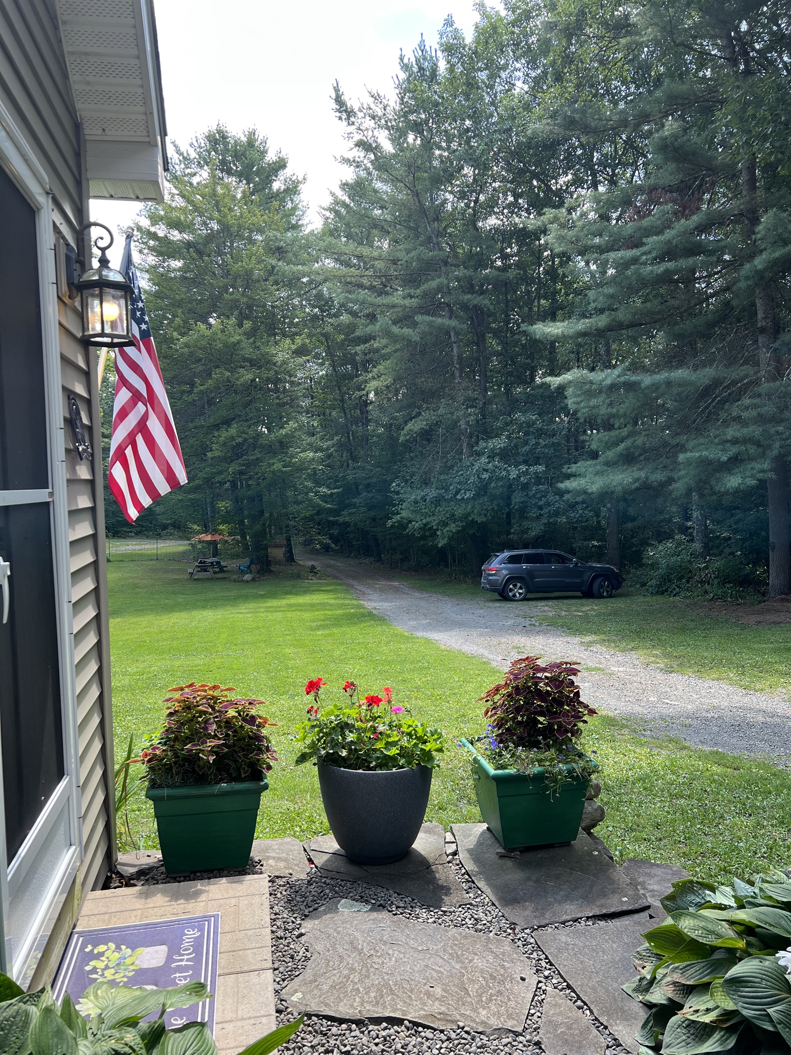 View from Garden Room Door