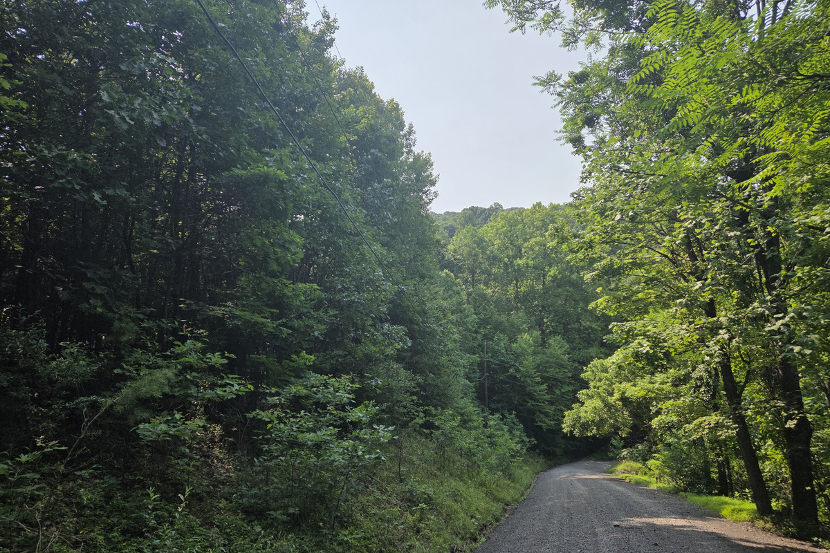 The cabin is accessed by a winding gravel mountain road with hills and curves.