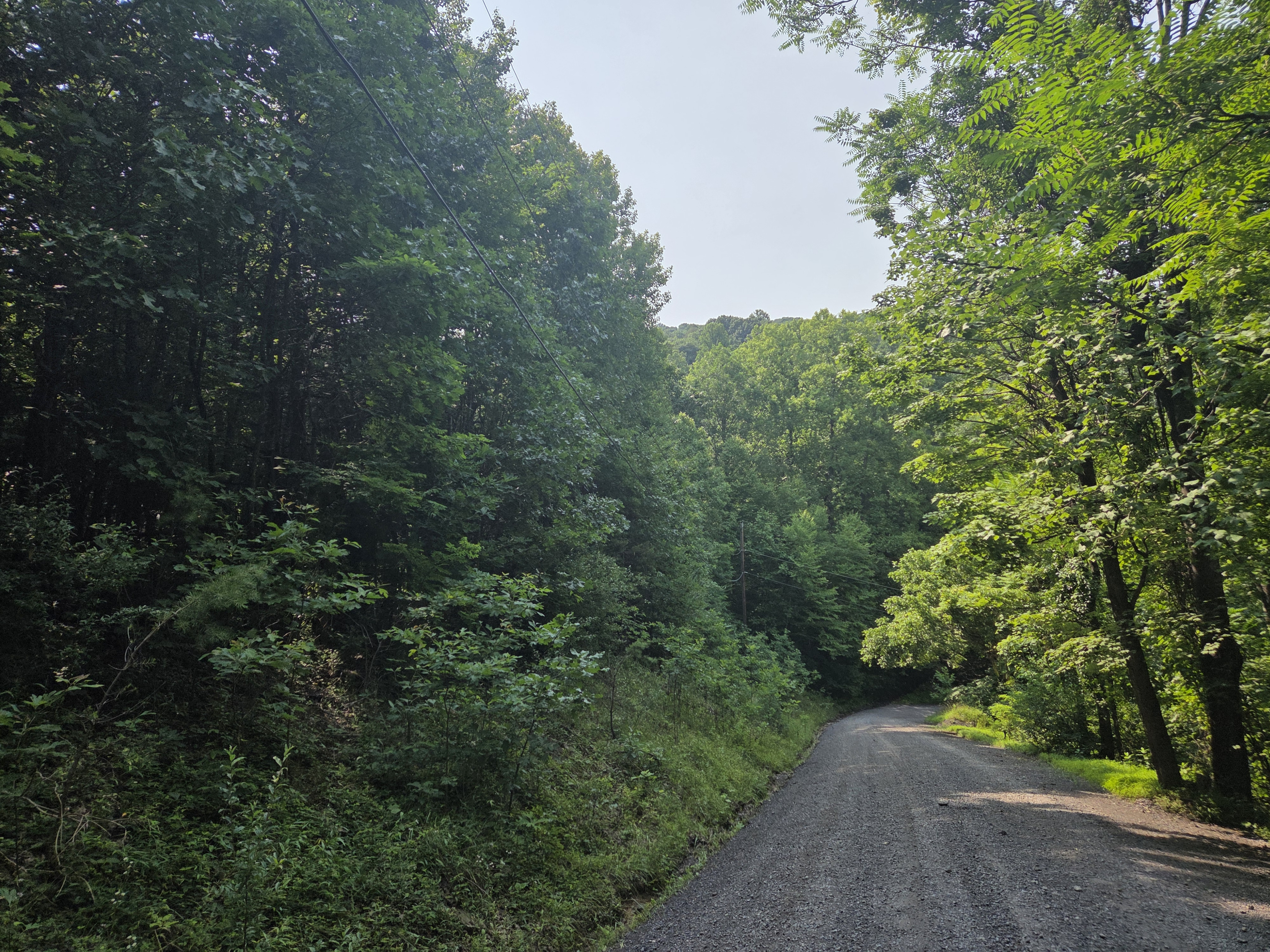 The cabin is accessed by a winding gravel mountain road with hills and curves.