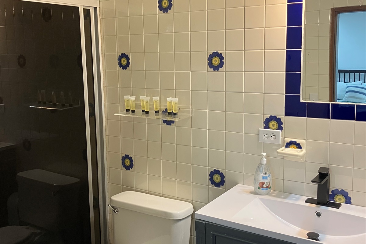 Downstairs Bathroom
