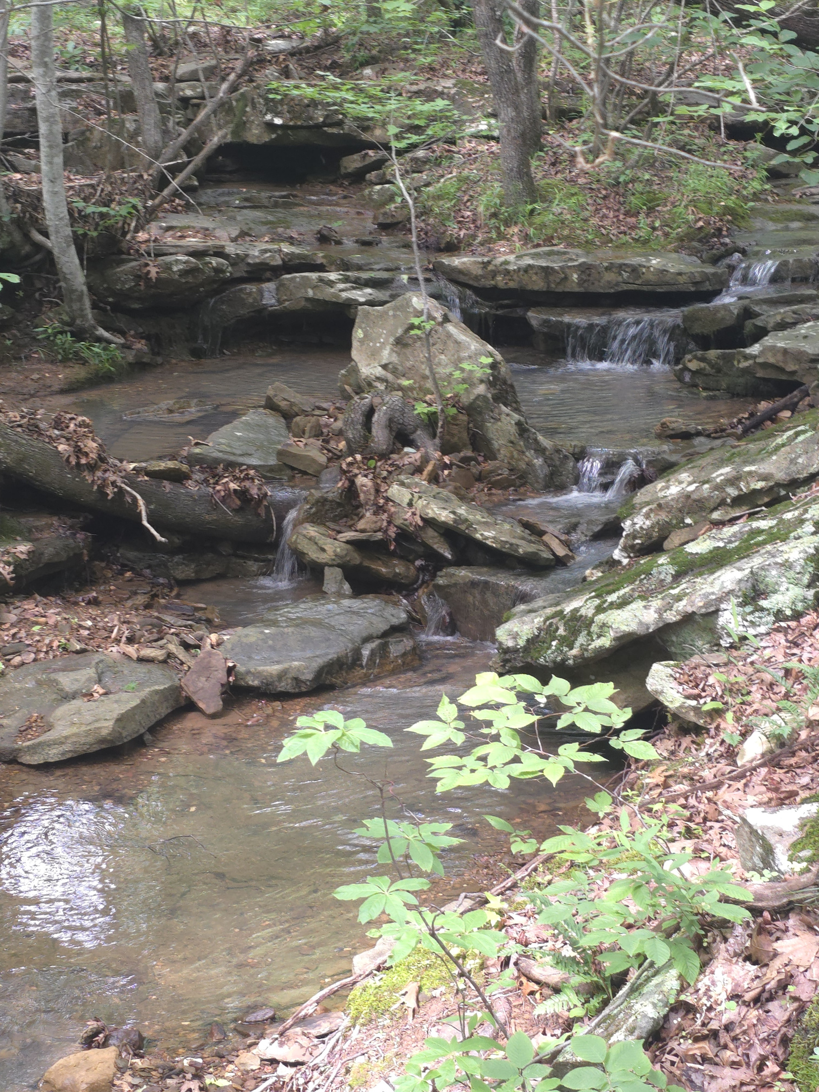 Creek and Falls Next To The Cabin