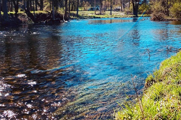 Picture taken in the back yard. Be sure to bring your fishing poles !