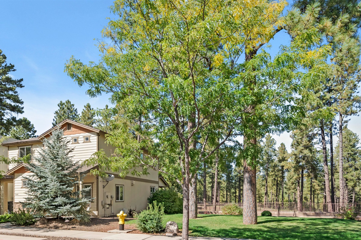Charming home nestled in a family-friendly neighborhood, just minutes from Flagstaff&rsquo;s vibrant downtown.