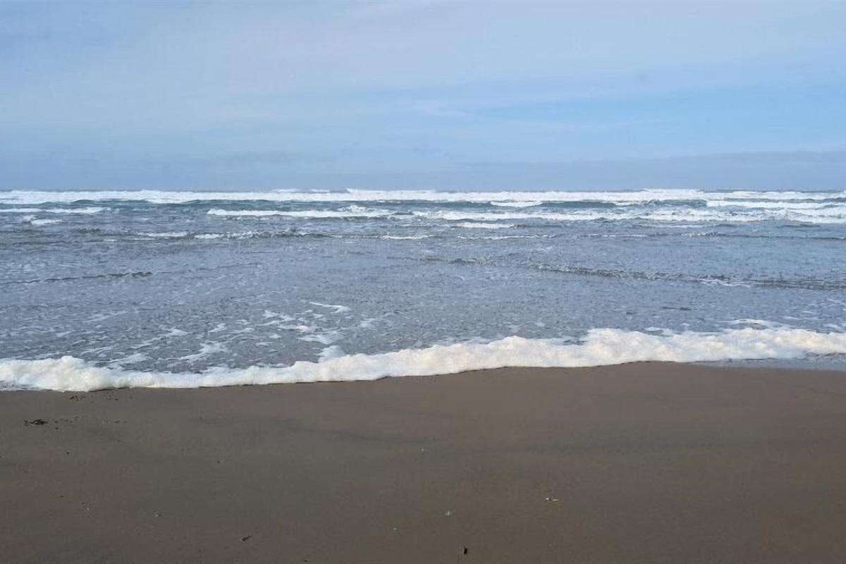 Heceta Beach looking West