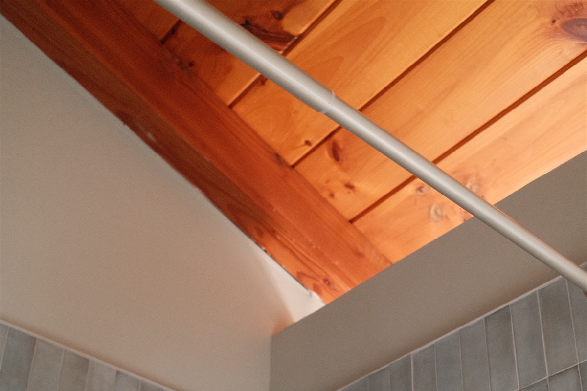 Hall Bath with Bathtub/Shower Combo