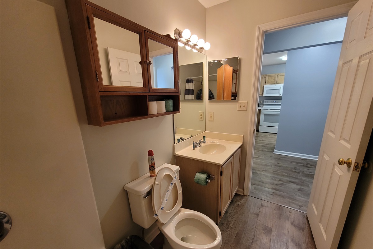 Bathroom 1