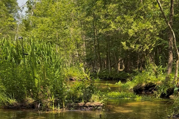We are honored to share this unique natural ecosystem with our guests.