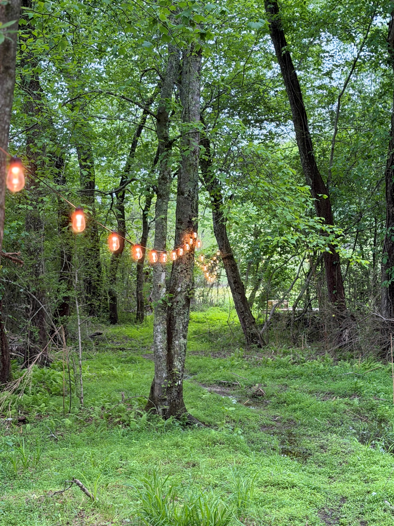 Walk down the fairy lit path to your own deck with benches on Sugar Creek. Watch the cows and horses graze and relax to the sound of the creek and bird songs.