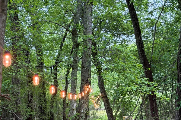 Walk down the fairy lit path to your own deck with benches on Sugar Creek. Watch the cows and horses graze and relax to the sound of the creek and bird songs.