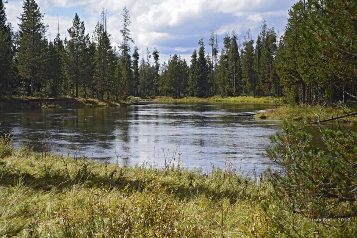 Henry's Fork, only a few minutes away, is a great location for tubing, fishing, rafting, and wildlife watching.