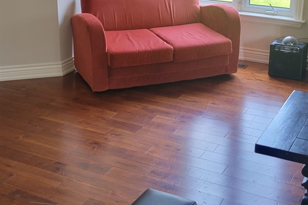 pull out couch