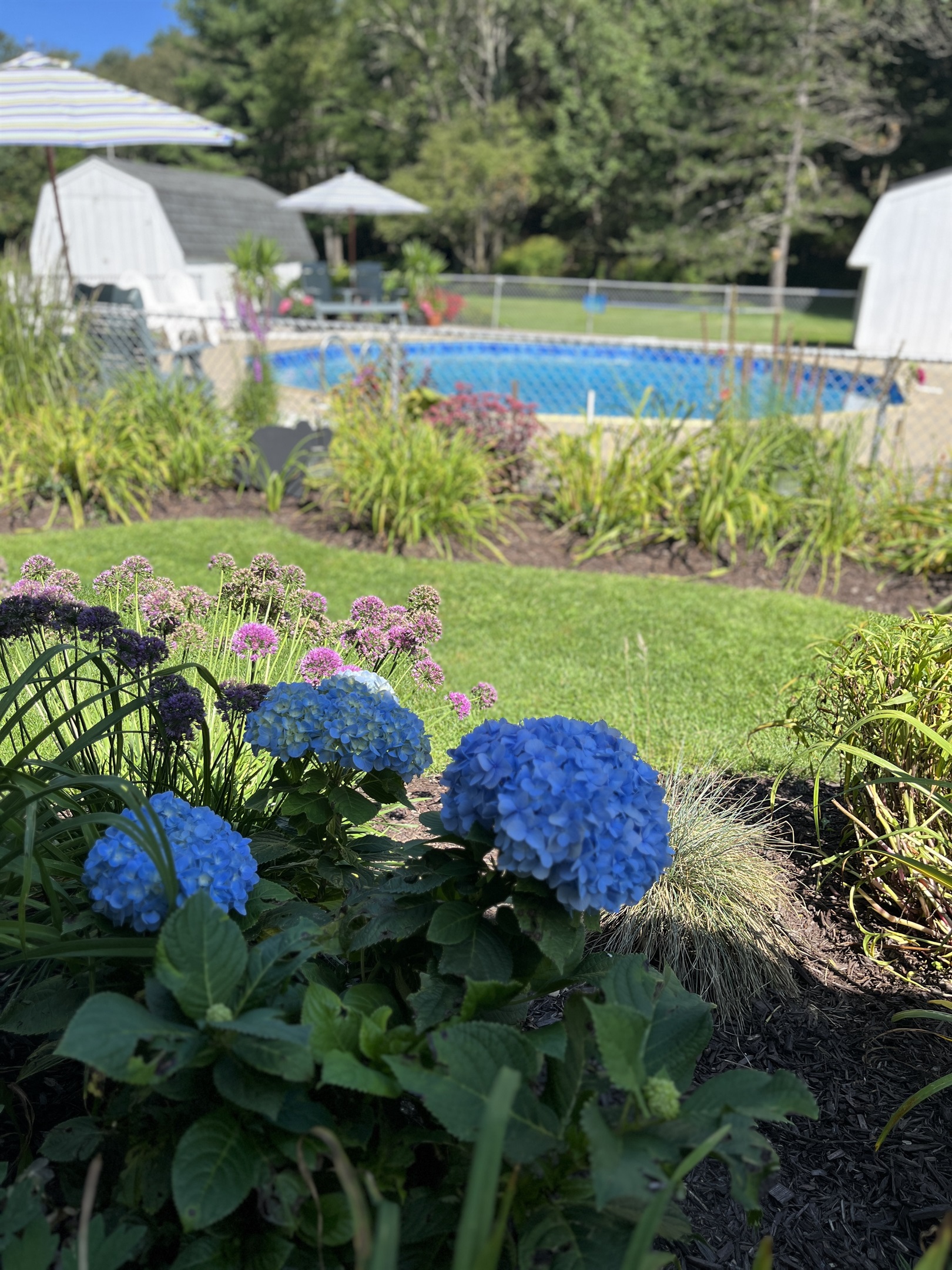 Meticulously kept grounds surrounding the pool