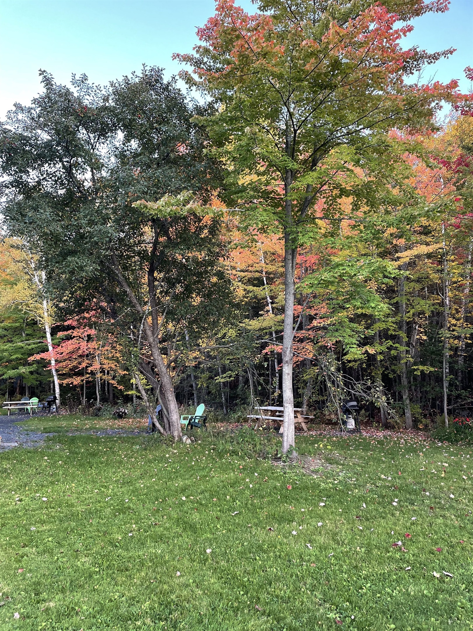 Fire pit,  grill, and plenty pf space to sit and relax by the brook in the back.