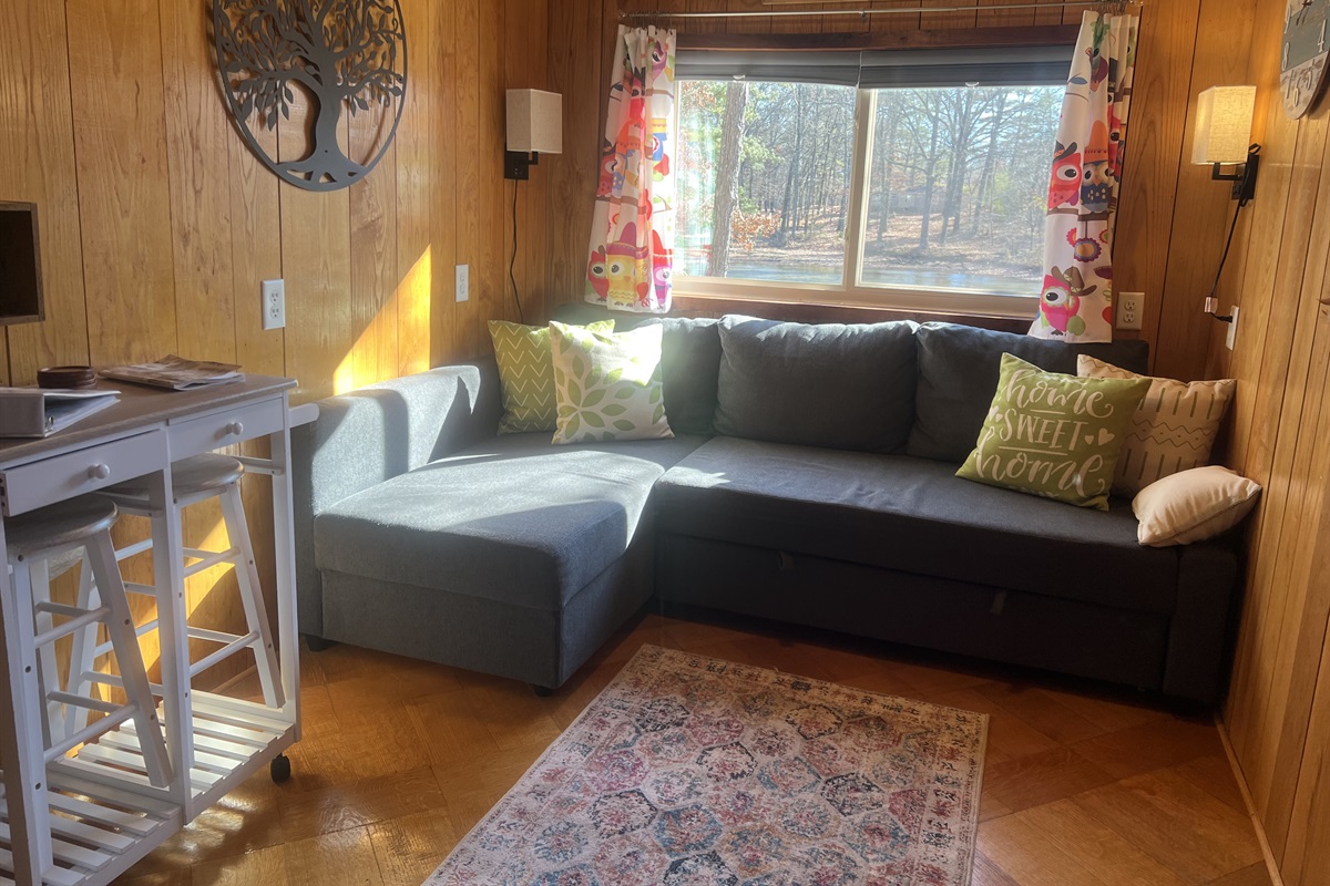 A pull-out sofa and table/island for your varied needs.