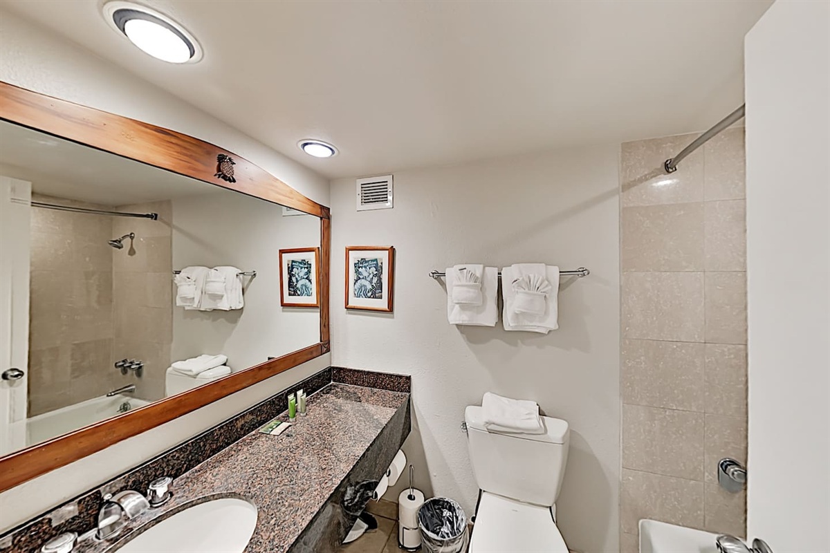 Large vanity counter space, bath tub/shower combo