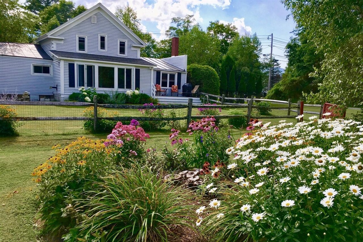 Summer view from garden
