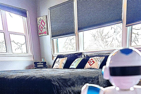 Howie SHOG loves his king bed. Great place to jump on the bed.