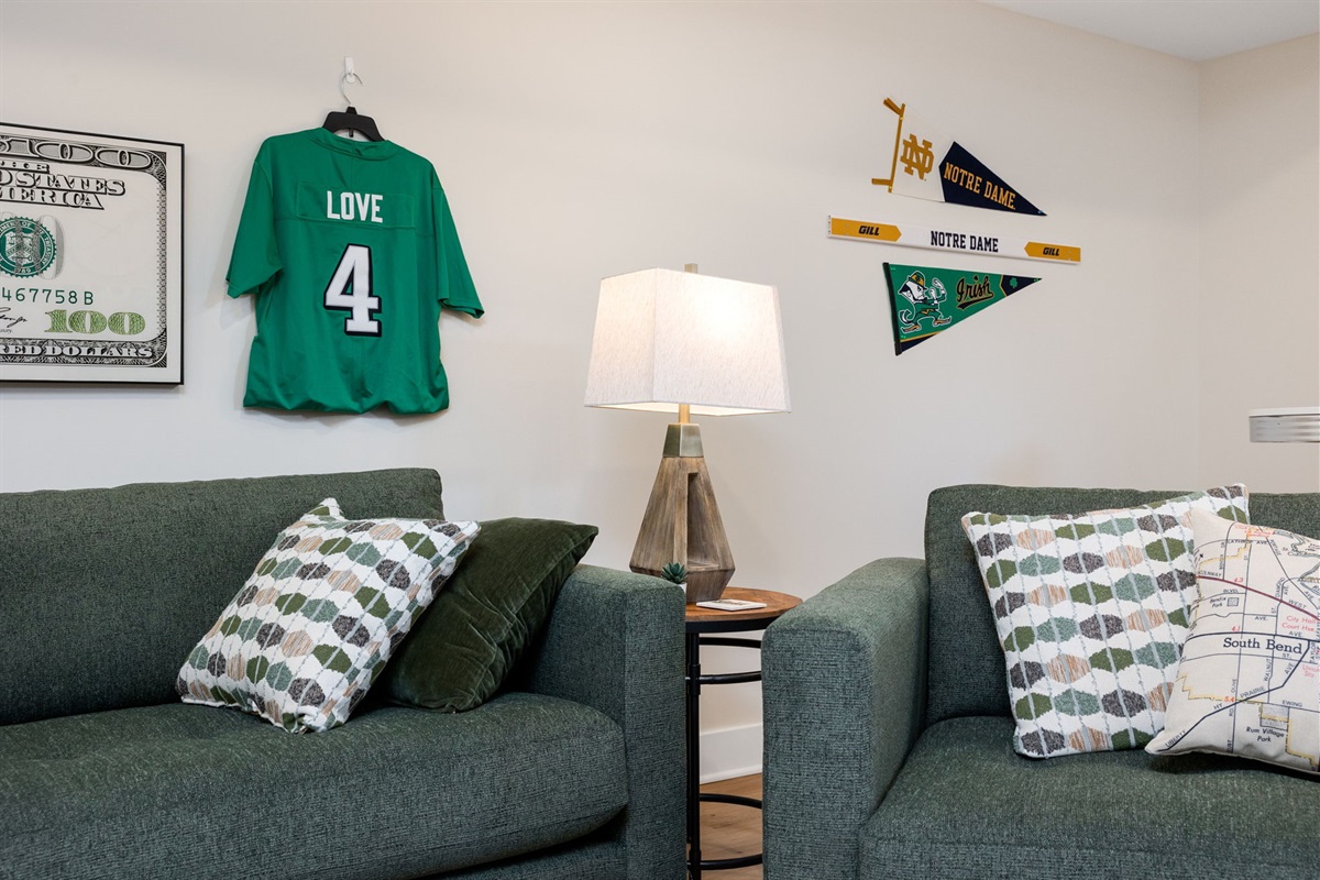 Basement Living Room