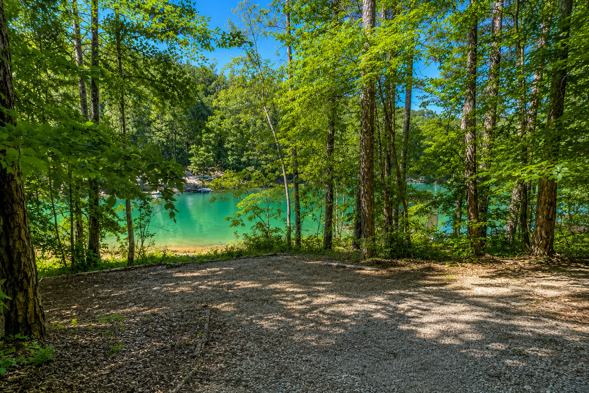 large cleared area by lake