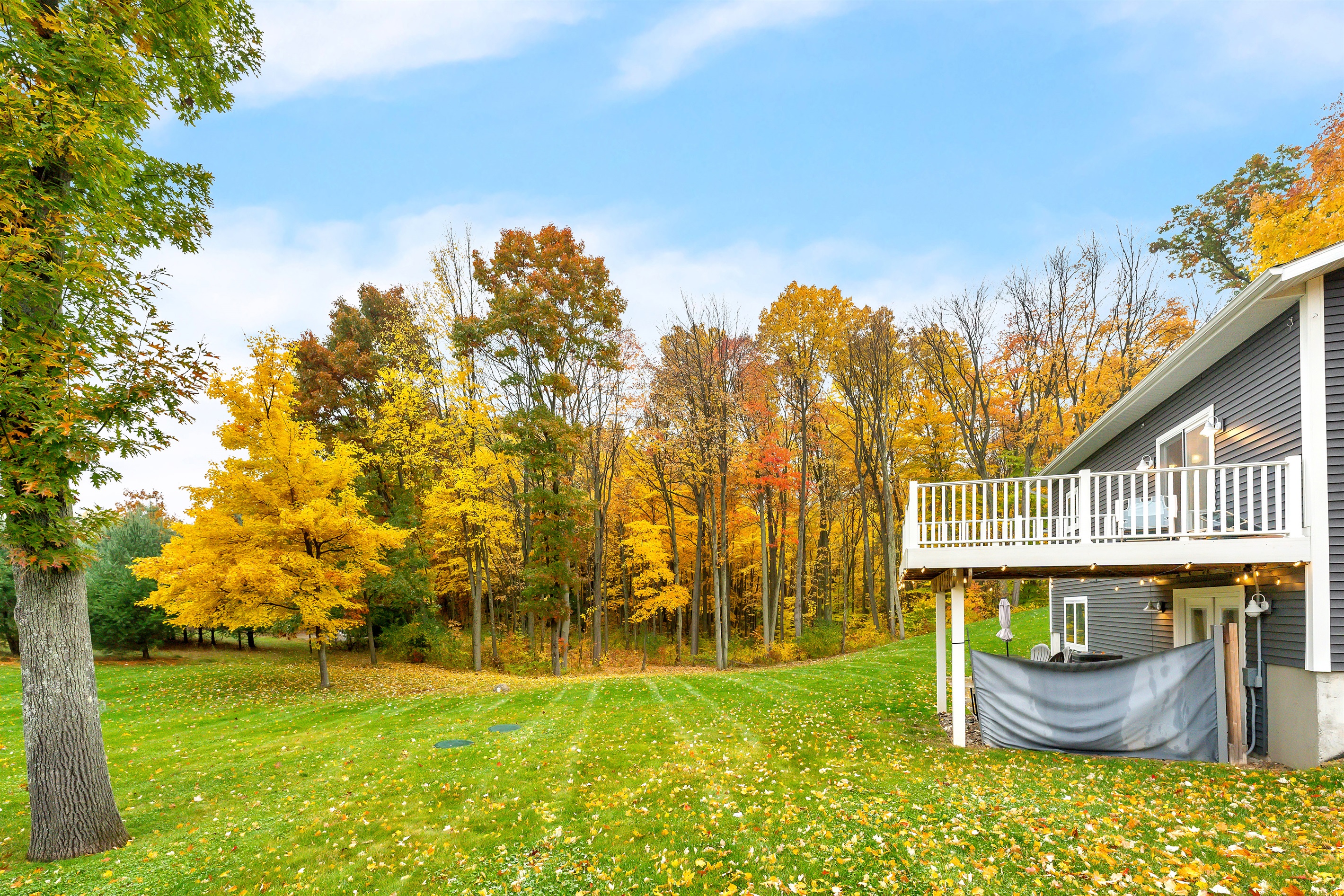 Back yard