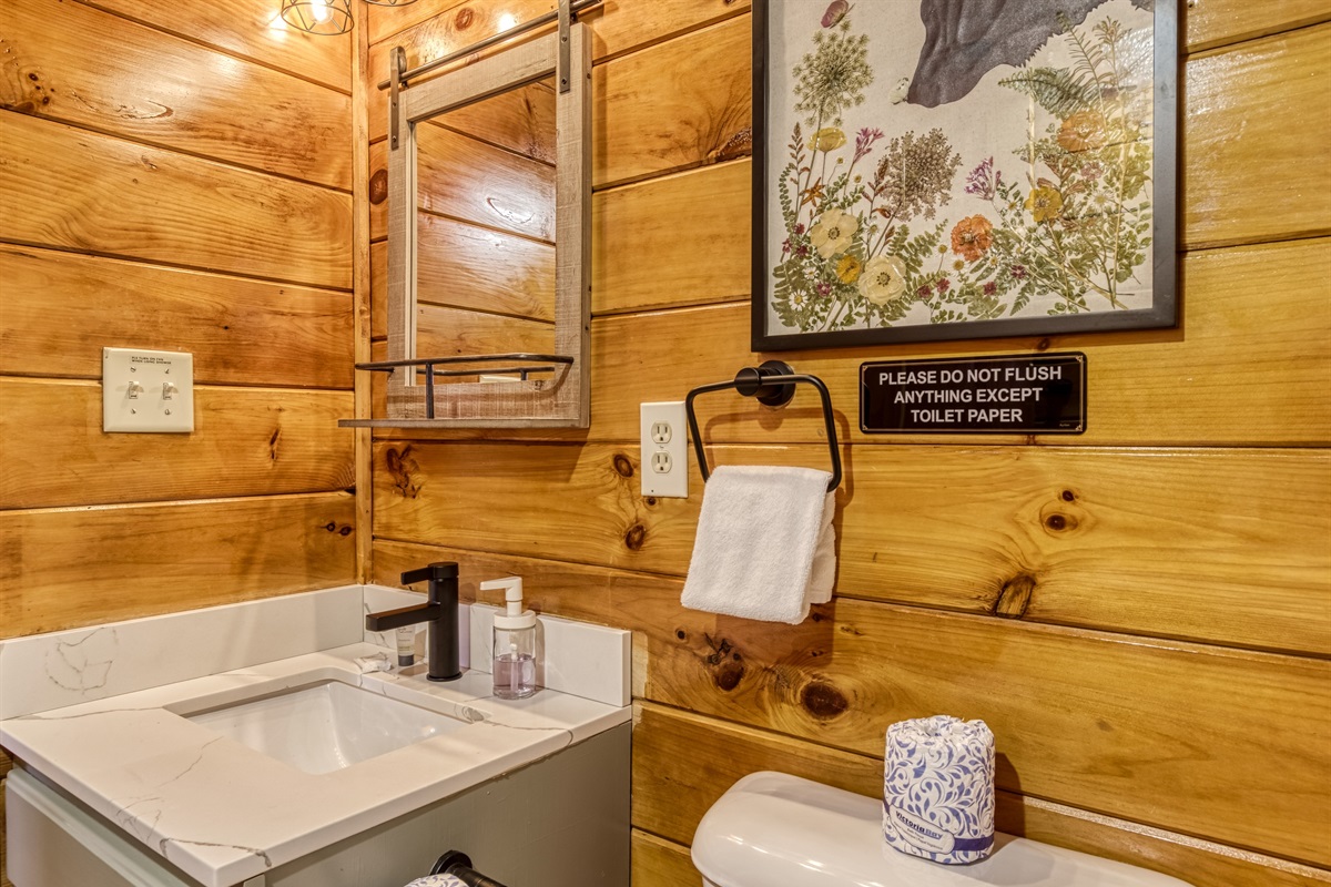 Full common bathroom upstairs