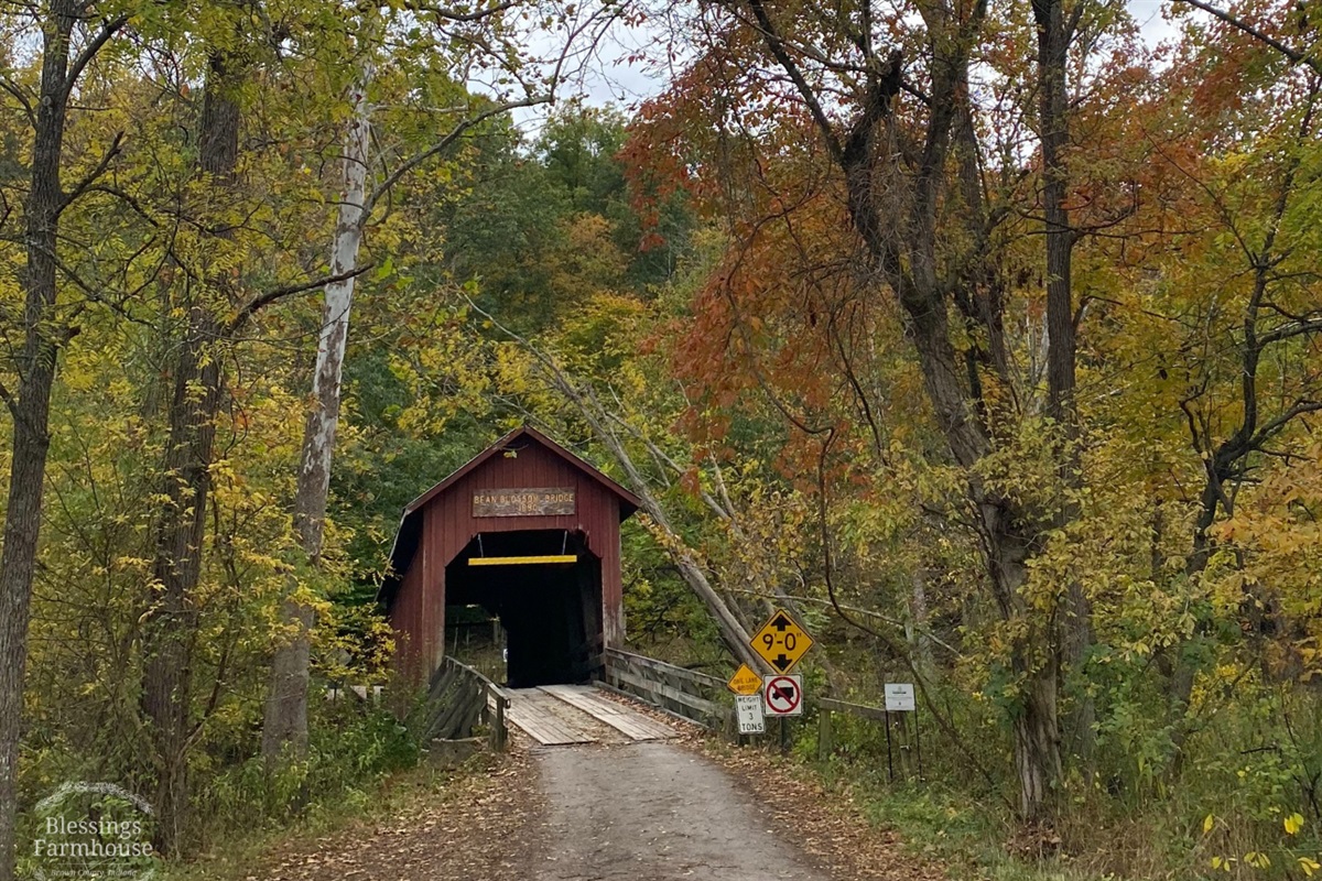 Nearby: Bean Blossom Covered Bridge