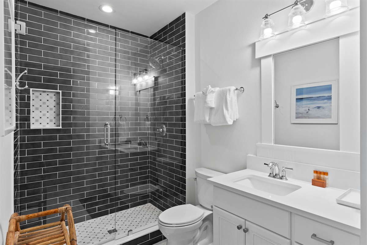 Downstairs Guest Bathroom