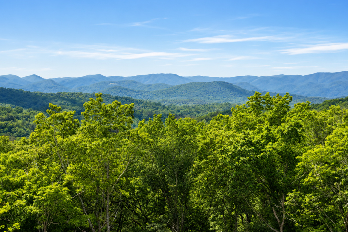 A  front-row seat to the magic of Blue Ridge.