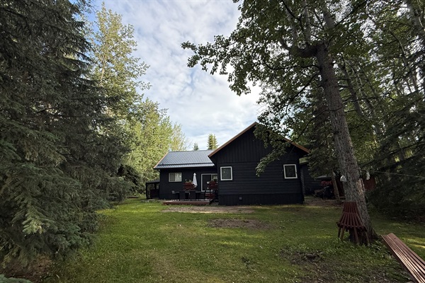 Cabin surrounded by tall aspens and evergreens for privacy