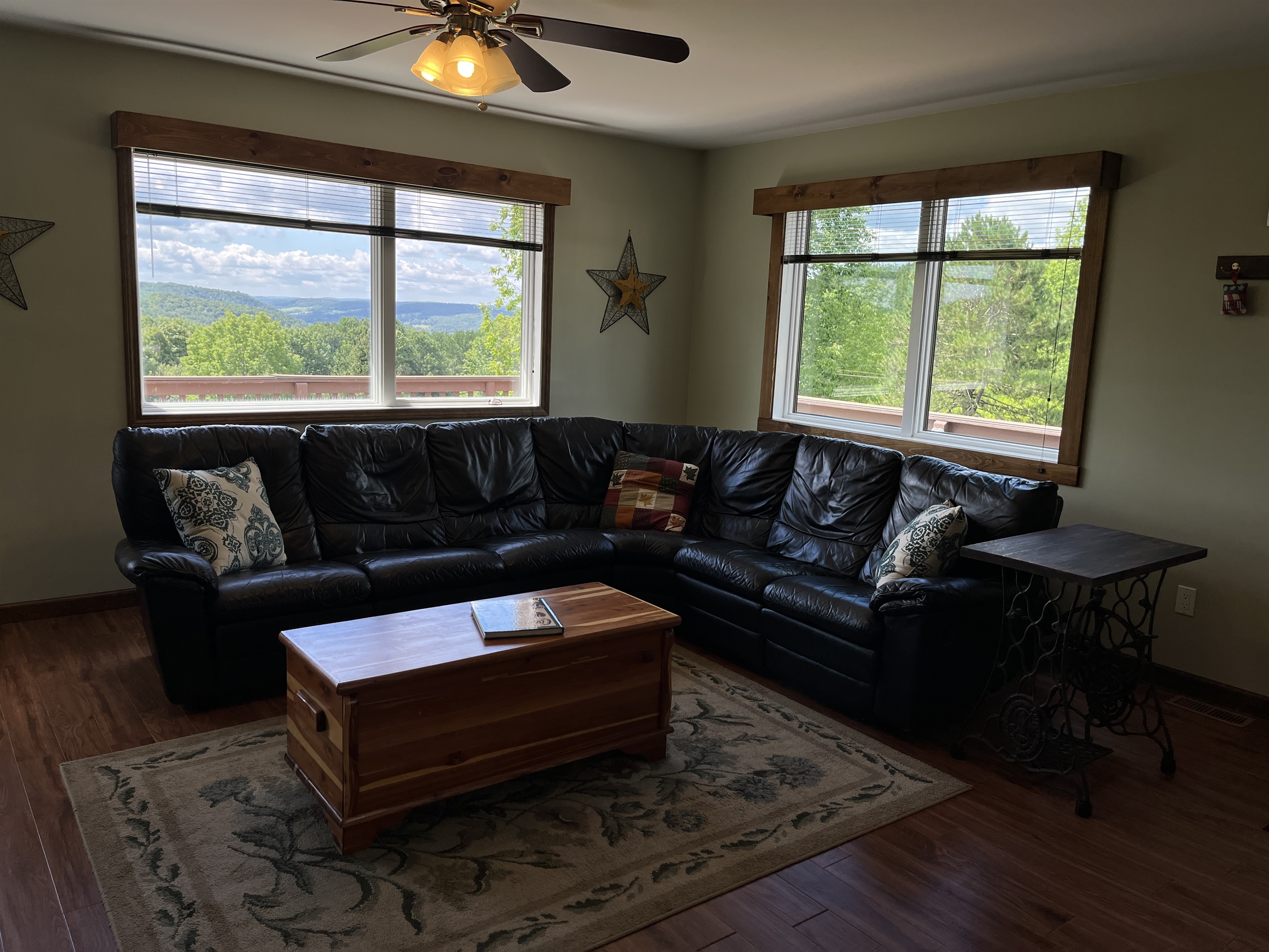 Long distance views from the living room