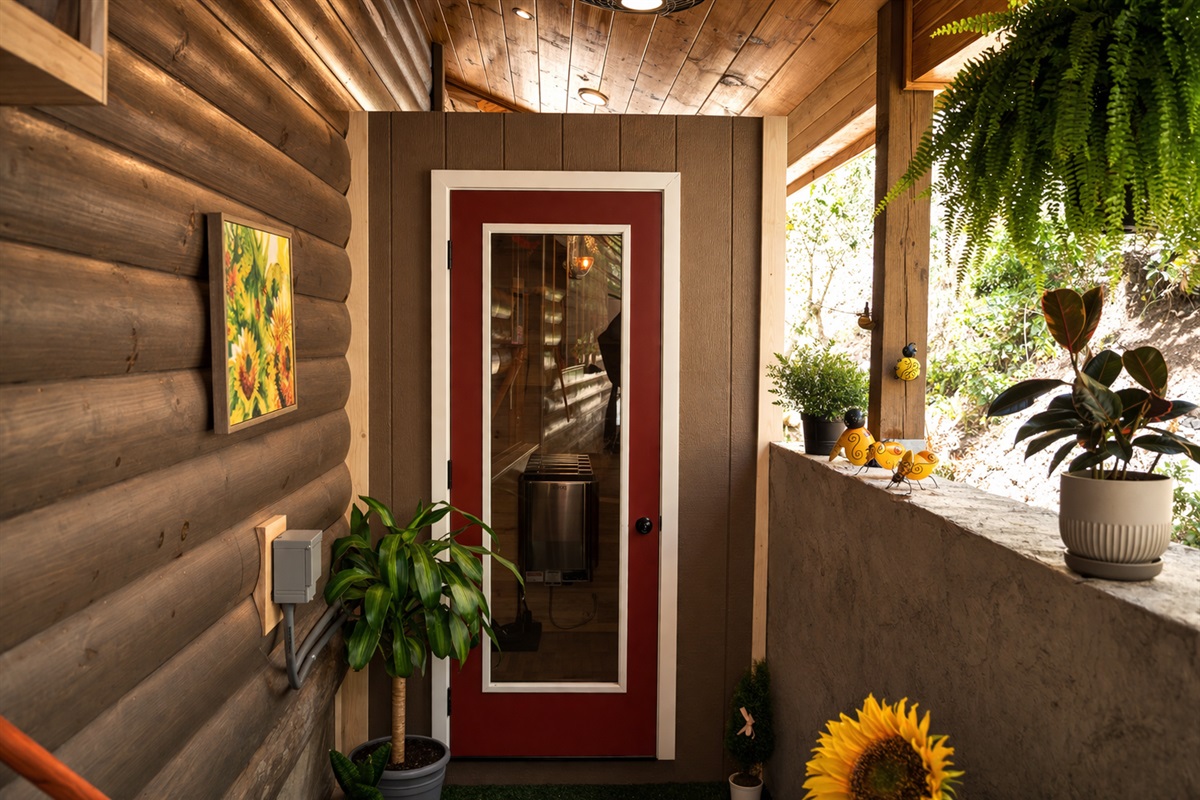 2-4 person dry sauna
