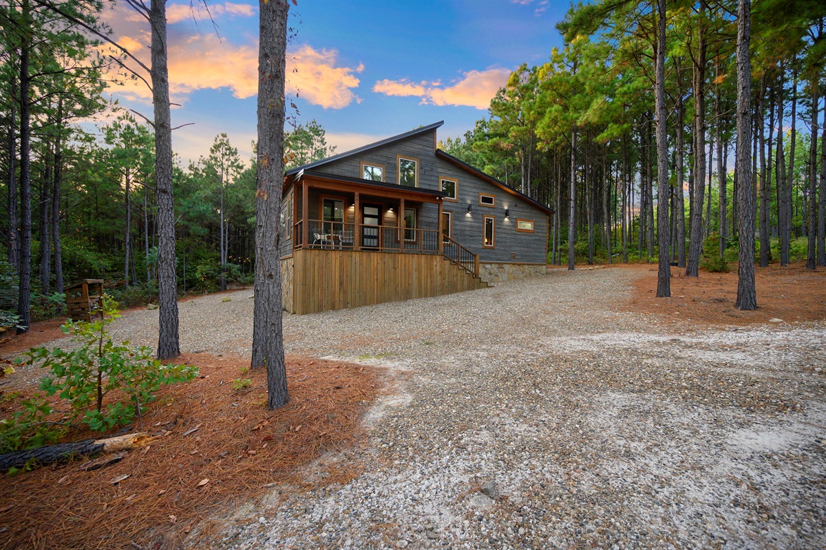 🏡 Modern cabin charm tucked beneath the trees